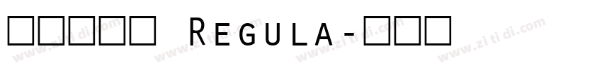 点字油漆体 Regula字体转换